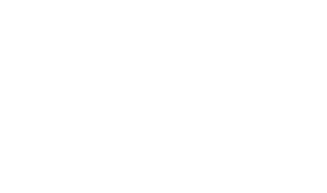 DENVAN Logistic